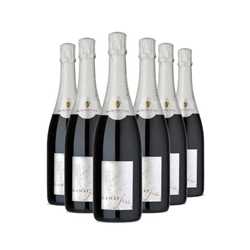 Box of 6 Gamay Fizz Red- Mommessin