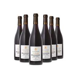 Carton de 6 Bourgogne Pinot Noir "Les Ursulines" 2020 - Jean-Claude Boisset